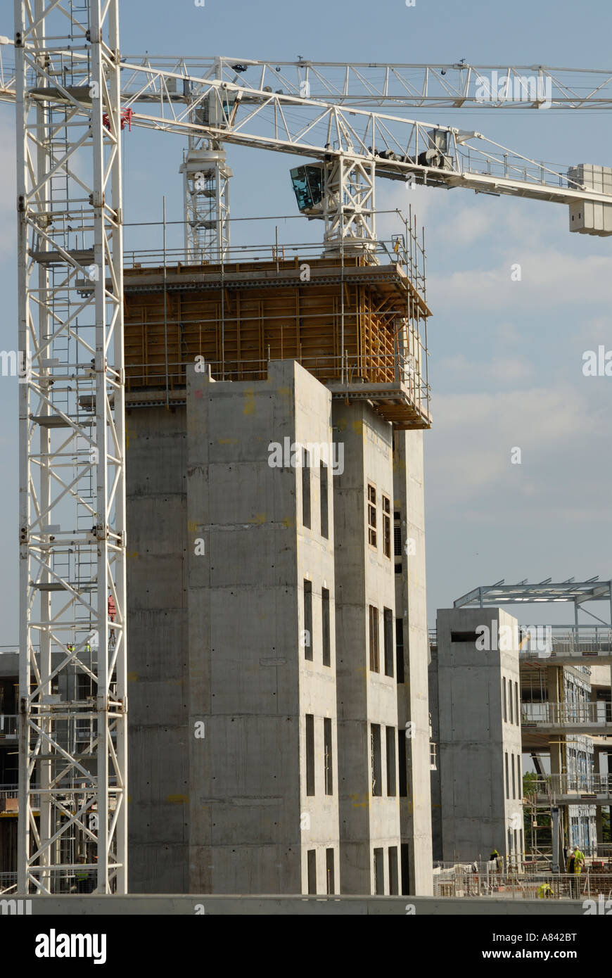 Tall Cranes High Resolution Stock Photography and Images - Alamy