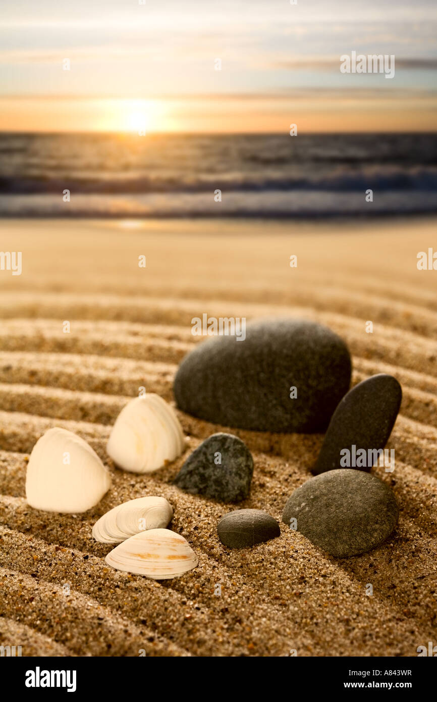 Stones and shells at the Danish North Sea beach Stock Photo