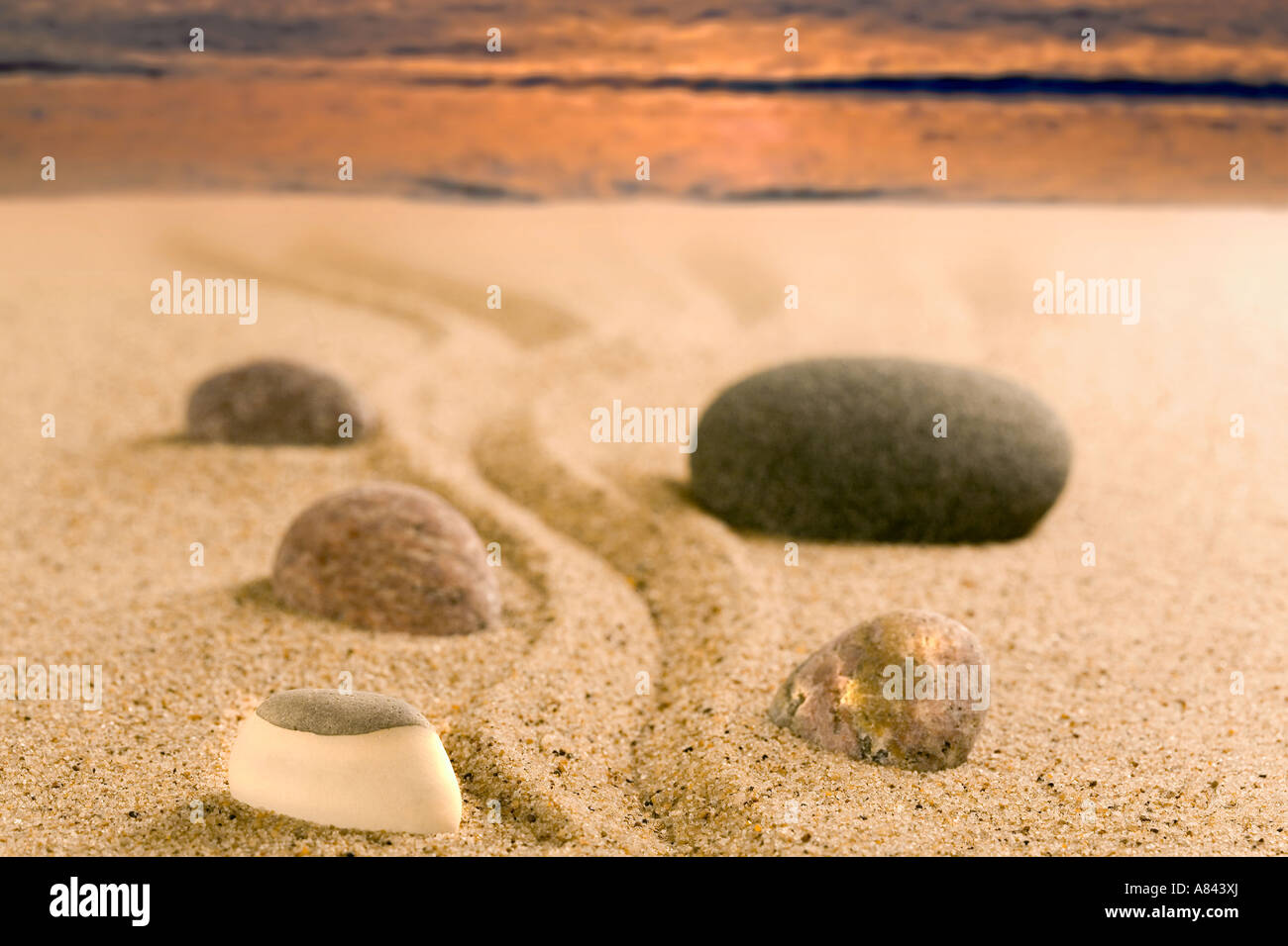 Stones at the North Sea beach Stock Photo