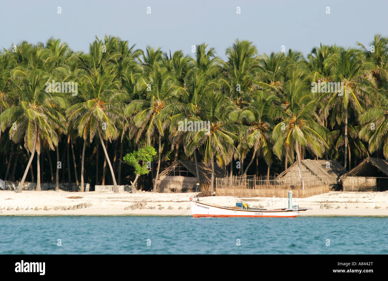 Palm trees abound on  the idyllic Agatti Island in the Lakshadweep Islands India Stock Photo