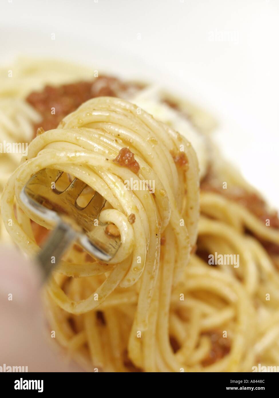 Spaghetti Twirled on Fork Stock Photo Alamy