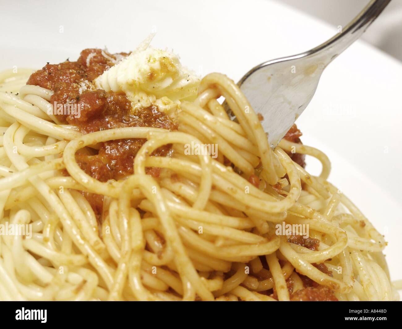 Spaghetti Twirled on Fork Stock Photo Alamy