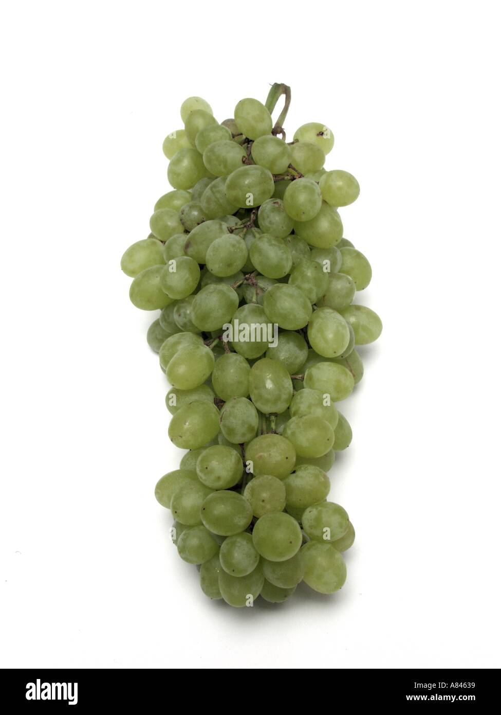 Green grapes on bunch hi-res stock photography and images - Alamy
