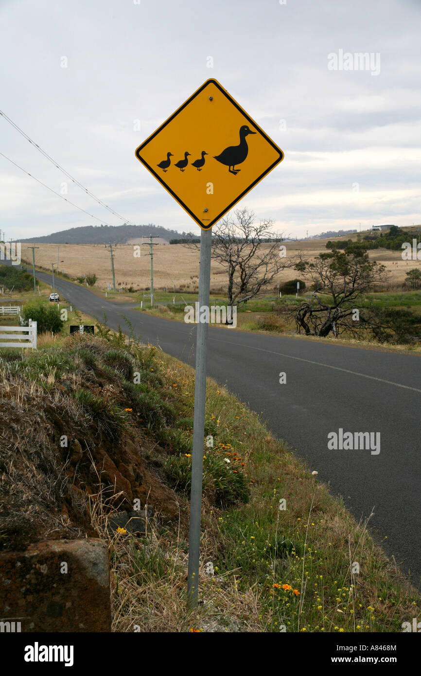 Ducks crossing sign near Hobart, Tasmania Stock Photo