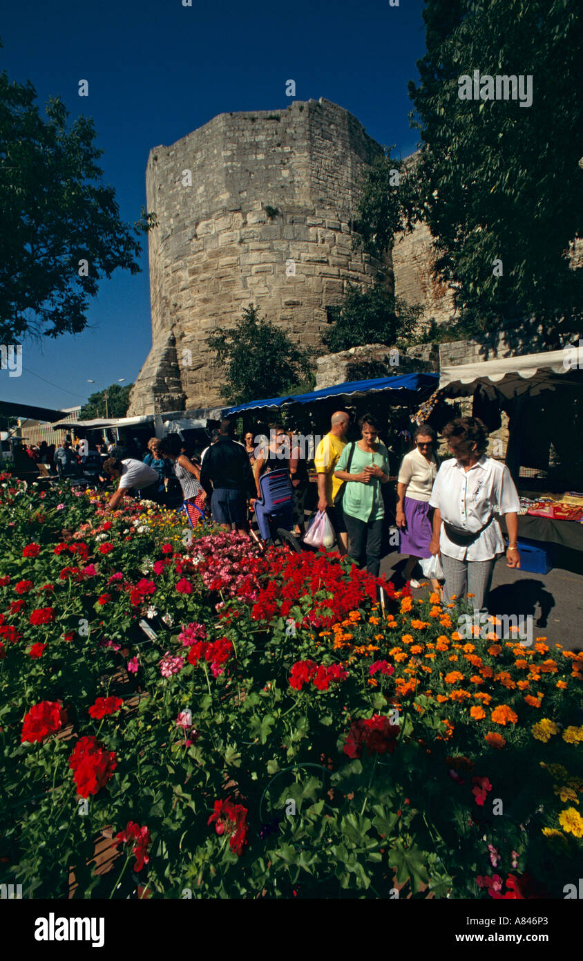 France, Provence. South. Arles. Flower vendor big Saturday market.  Roman city walls background.  Stalls of all kinds. Stock Photo