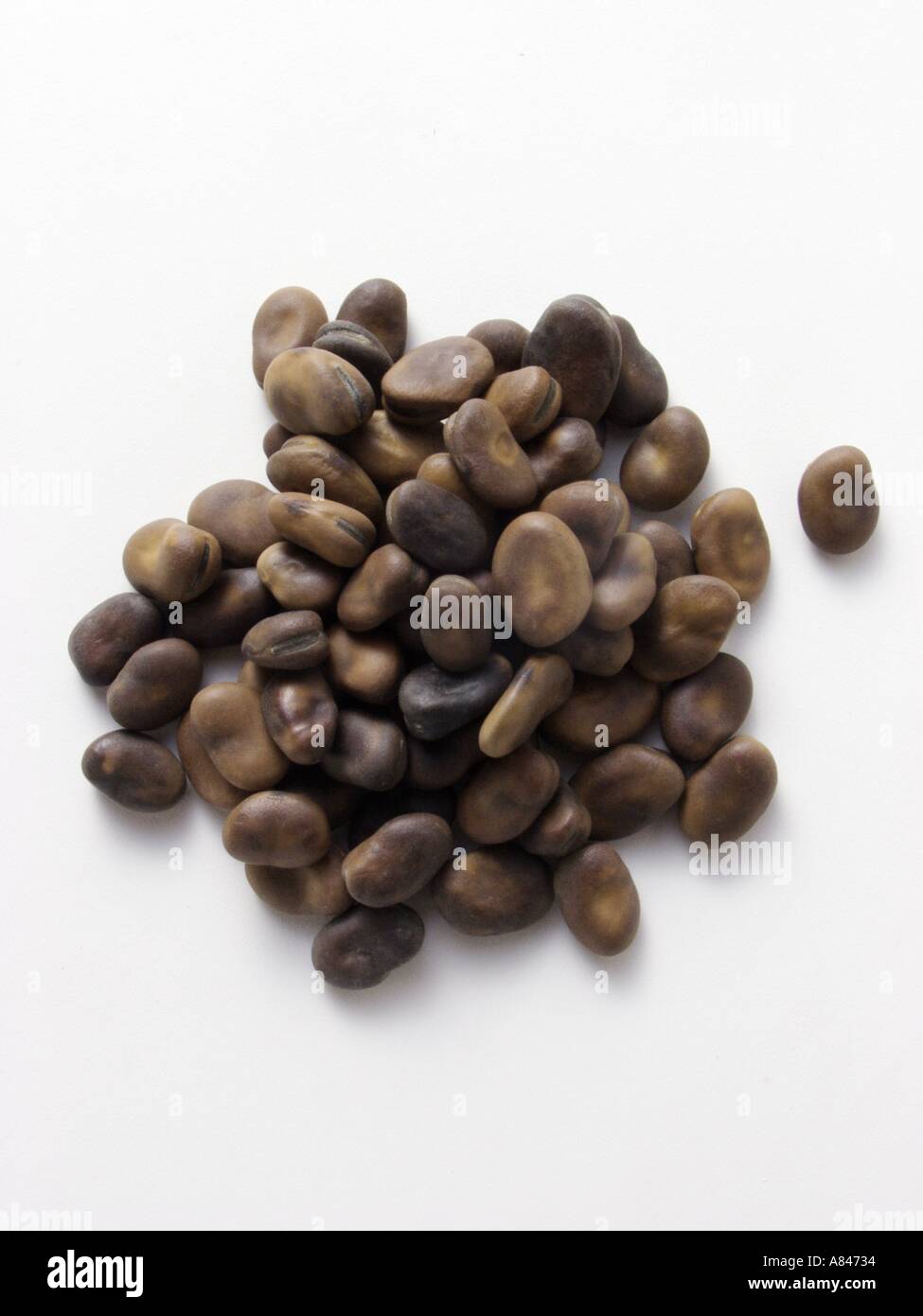 Dried Red Kidney Beans Stock Photo Alamy
