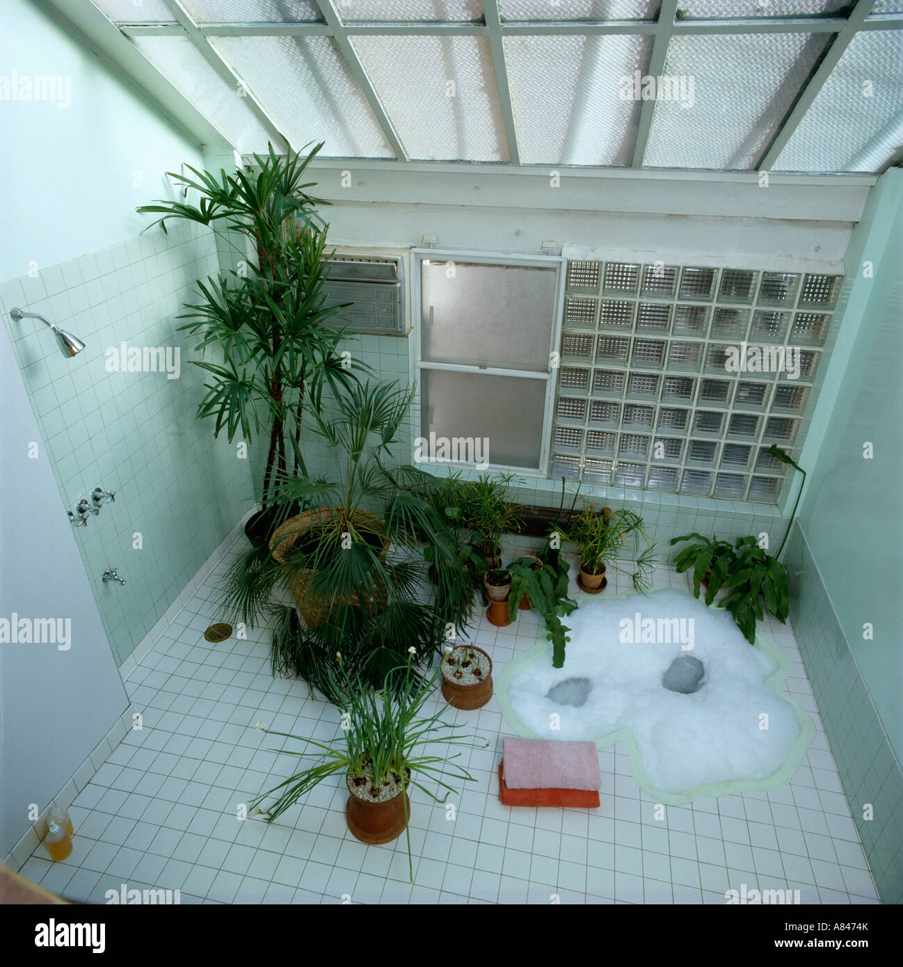 Green houseplants in white eighties bathroom with glass brick wall and sunken hot tub viewed from above Stock Photo