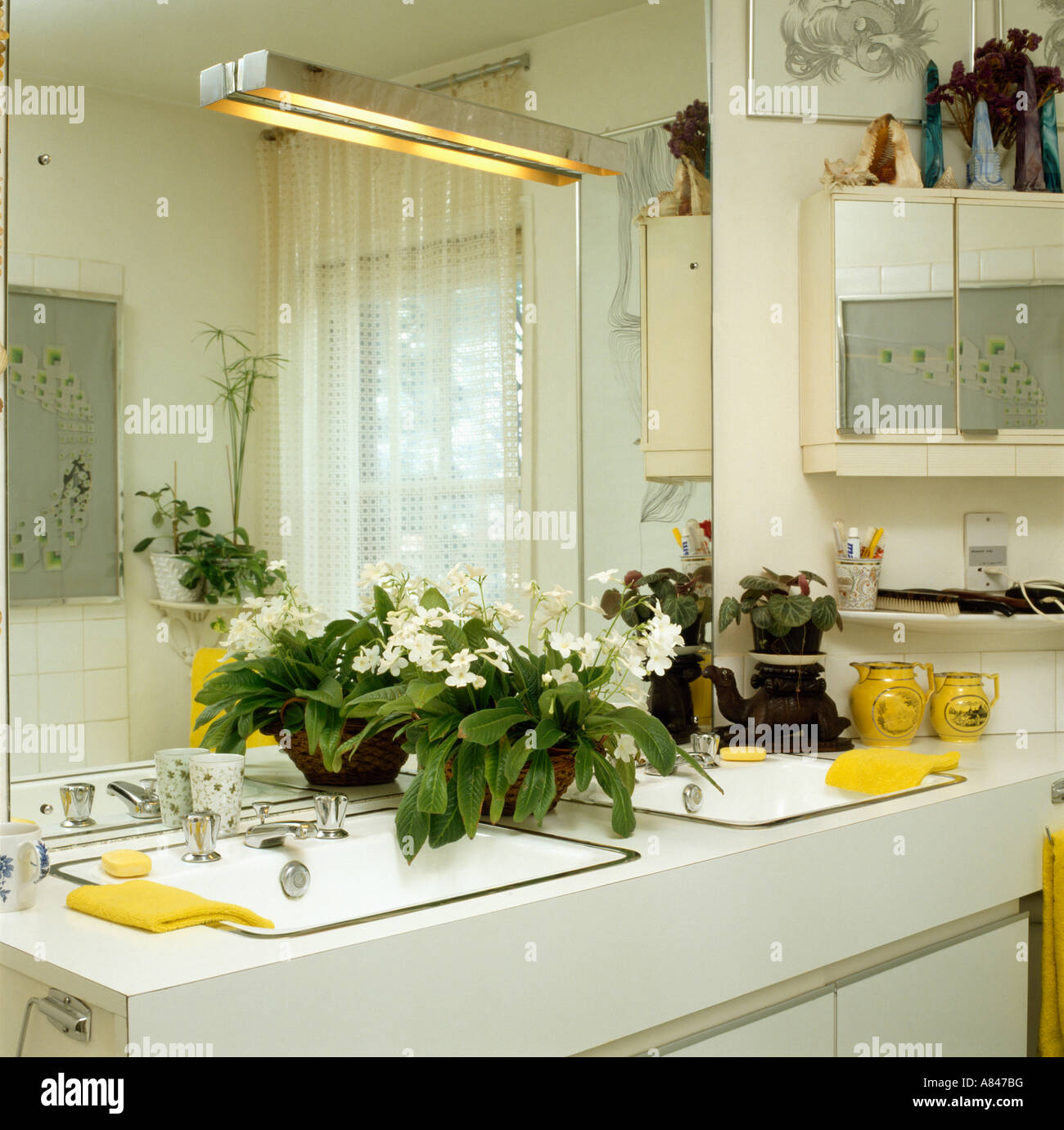 White flowering plant on white bathroom unit with double basins below large mirror Stock Photo
