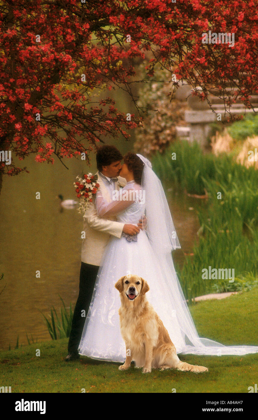 bridal couple with dog Stock Photo