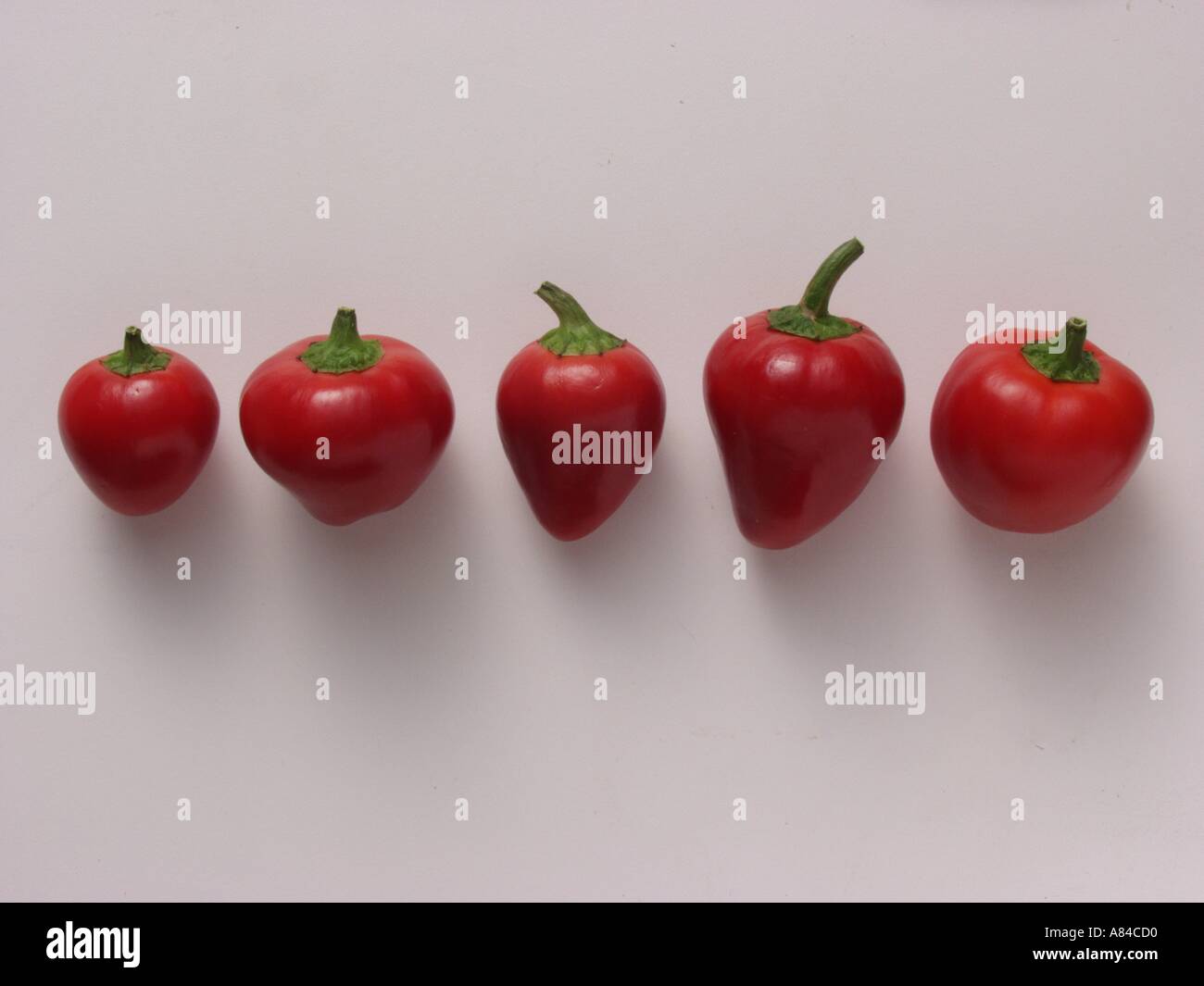 Hungarian cherry chili peppers Stock Photo