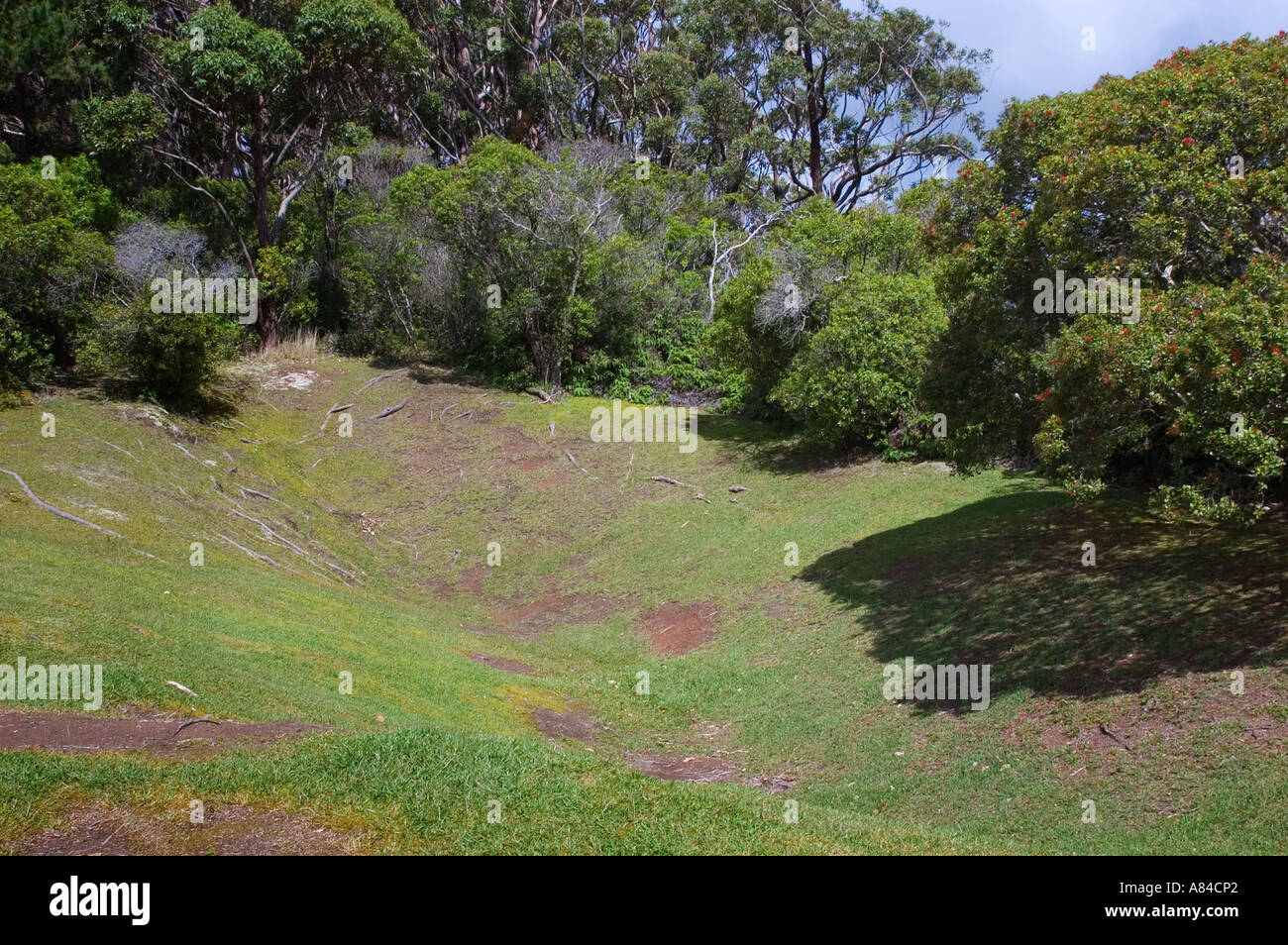 Sandalwood pit, Molokai, Hawaii Stock Photo Alamy