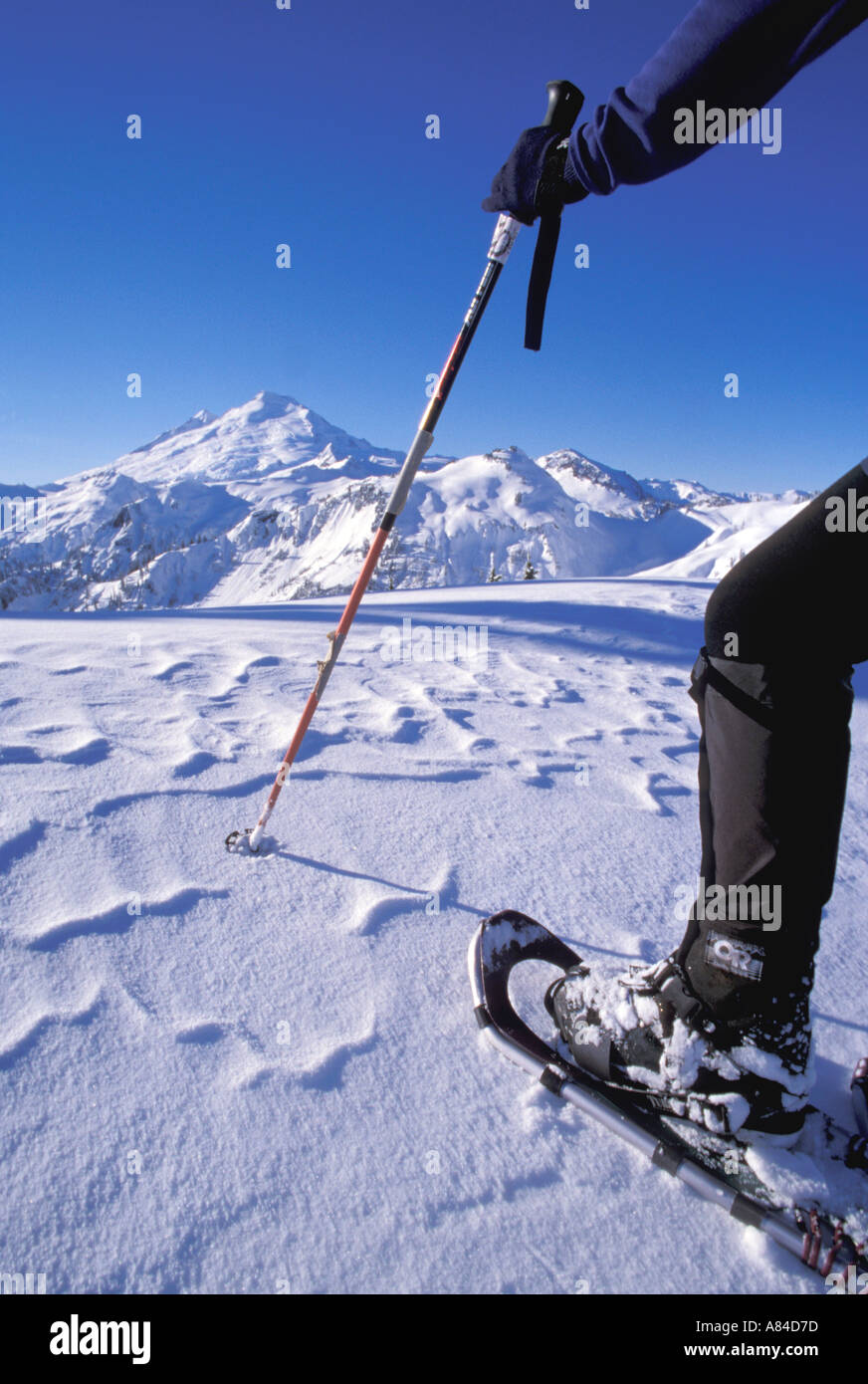 Snowshoeing in the North Cascades Mt Baker in Background Washington