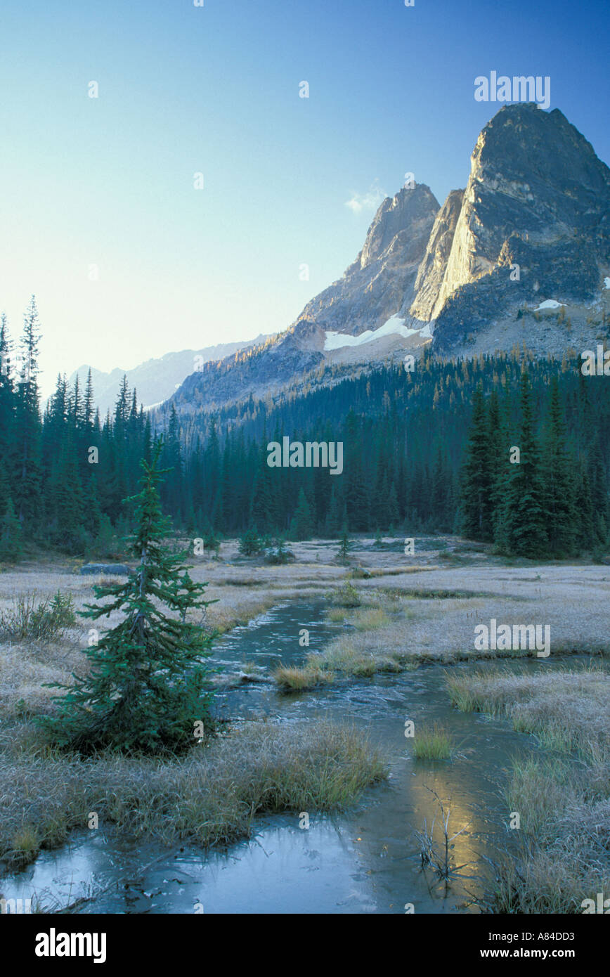 Liberty Bell Mountain and creek through meadow Washington Pass Overlook