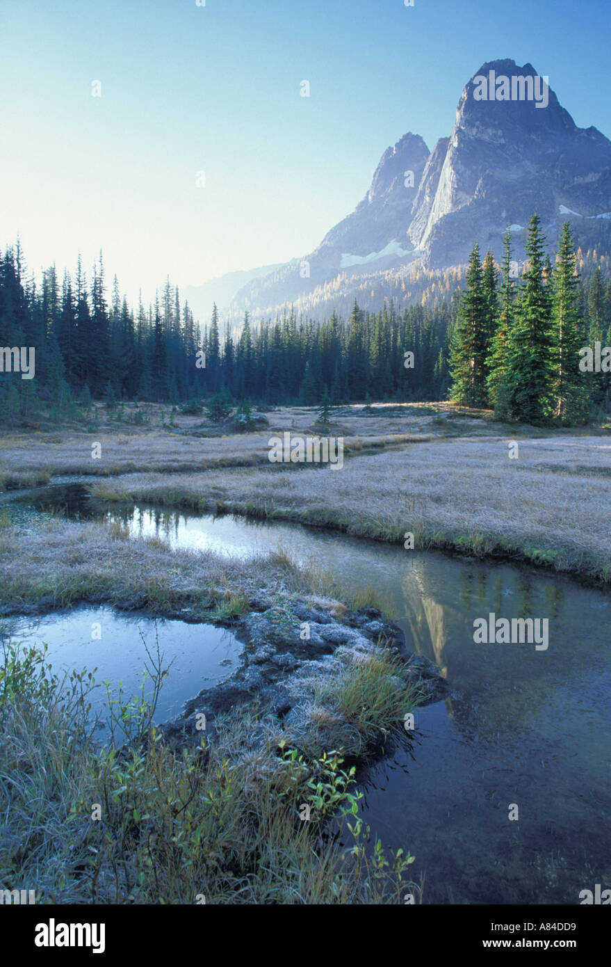 Liberty Bell Mountain and creek through meadow Washington Pass Overlook