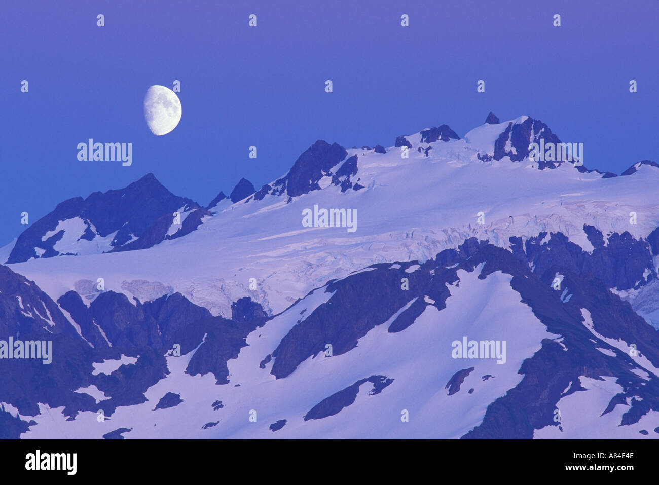 Moon over Mount Olympus at dusk Olympic National Park Washington Stock ...