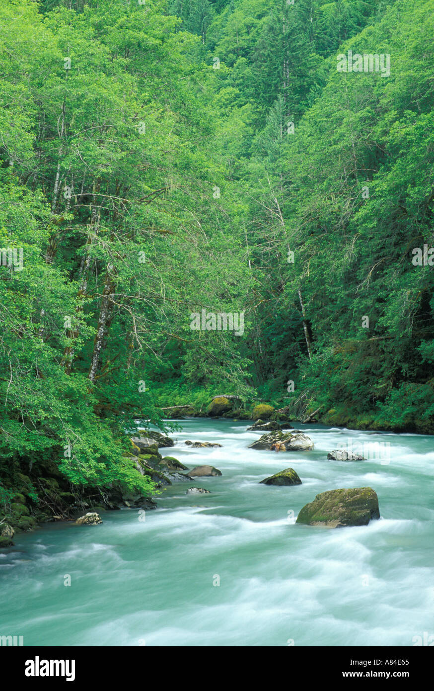 Sauk River Mountian Loop Highway Darrington Washington Stock Photo