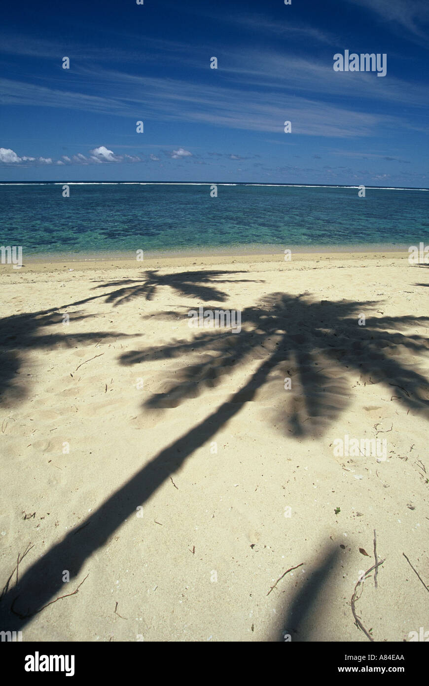 Shadow of Palm Trees on Beach Coral Coast Fiji Pacific Stock Photo