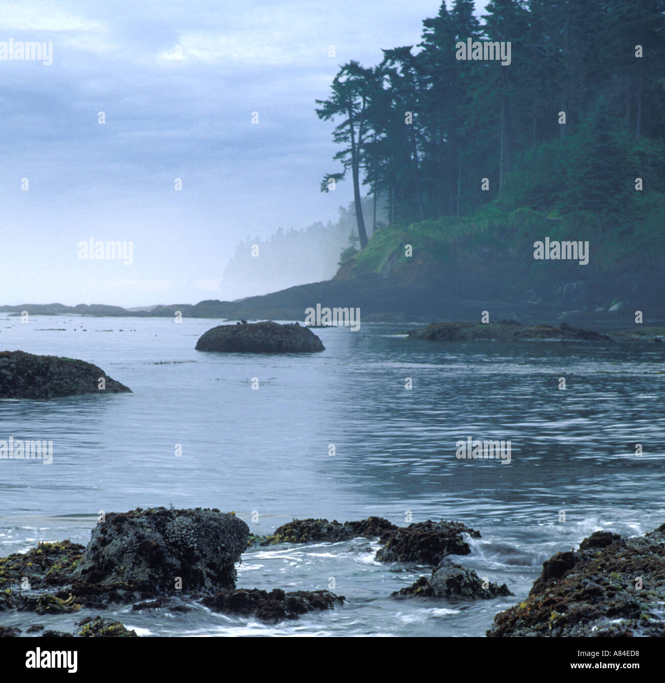 My Image 30