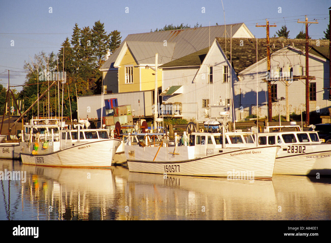 Fishing boats in Murray Harbour Murray Harbour Prince Edward Island