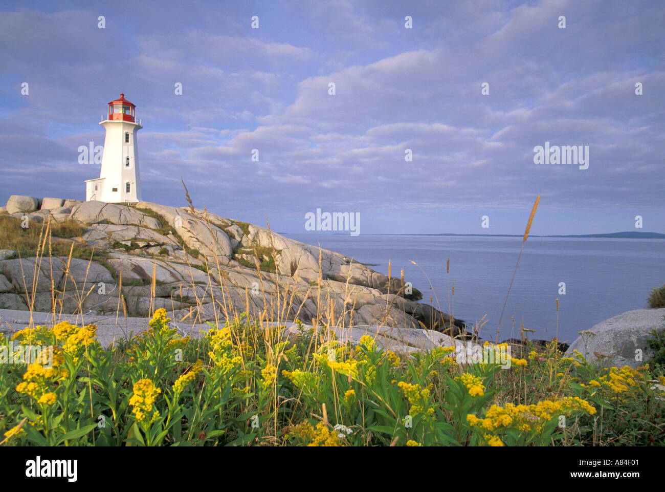 Peggy's Cove Lighthouse and goldenrod Peggy's Cove Nova Scotia Canada Stock Photo