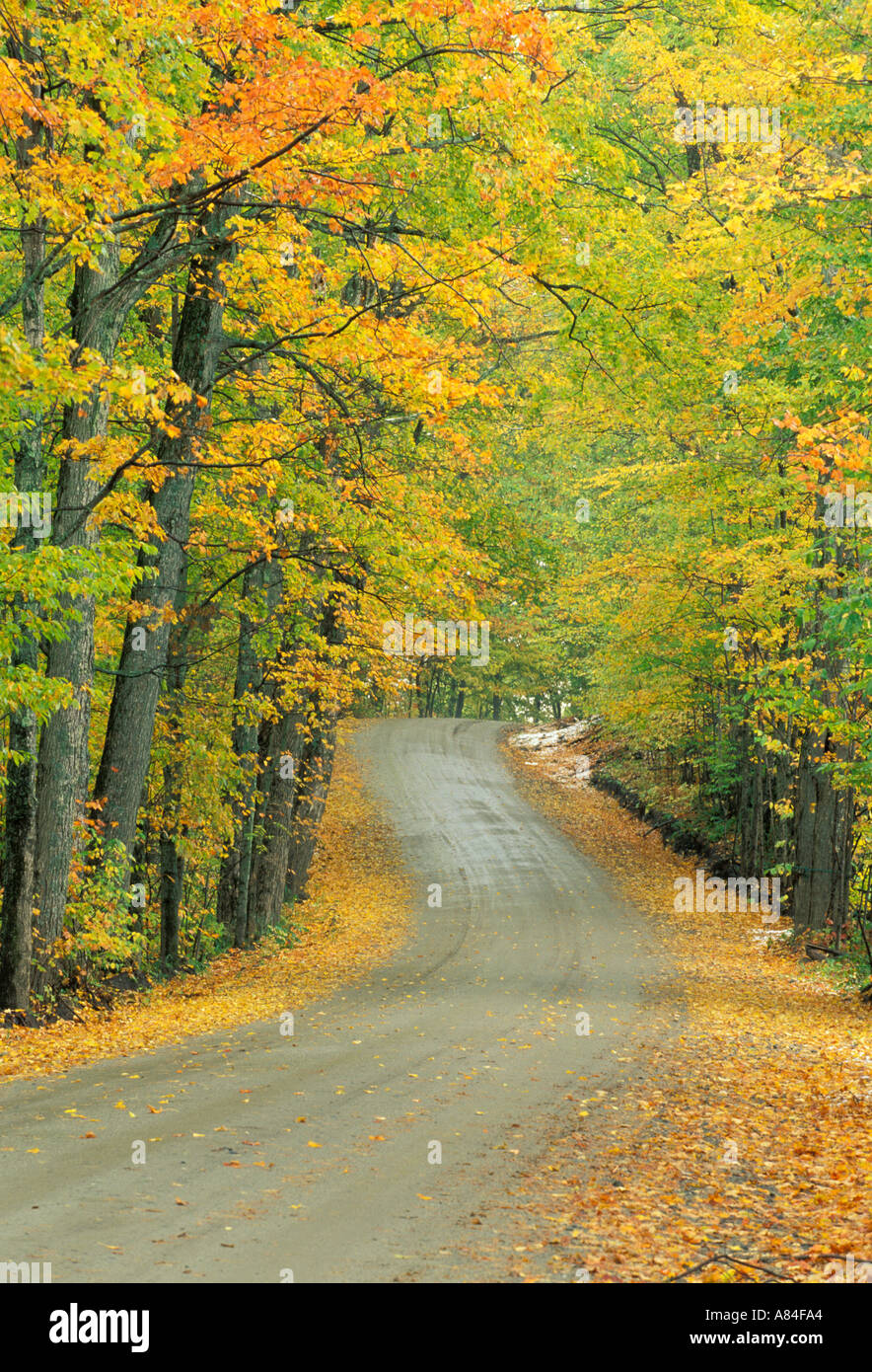 Road through autumn foliage Craftsbury Vermont Stock Photo Alamy