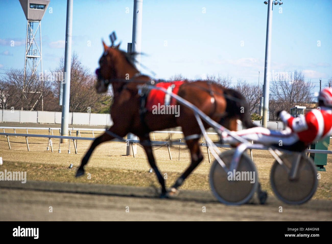 Horse cart racing america hires stock photography and images Alamy