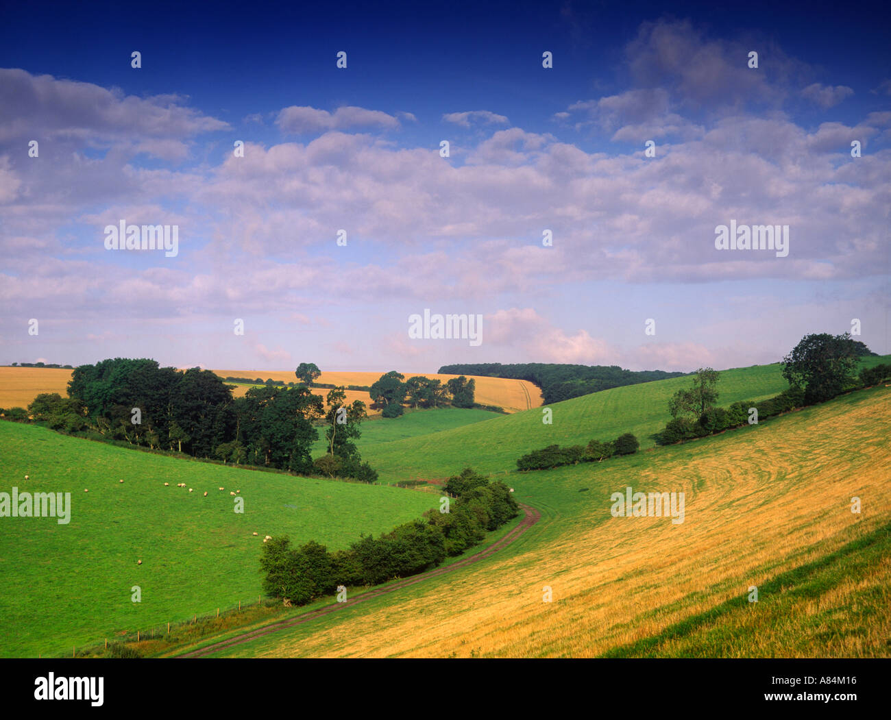 Stainton le vale hires stock photography and images Alamy
