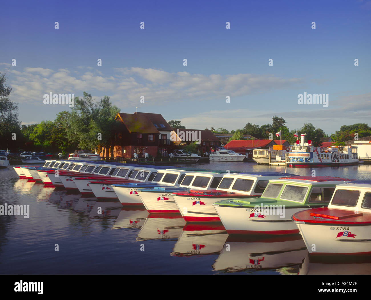 Hire boats in marina at Wroxham Norfolk Broads England UK Stock Photo