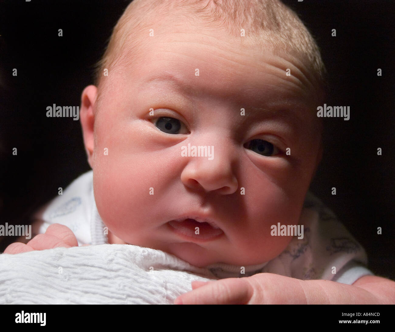 A newborn baby boy poses for a photo during his first day in the world Stock Photo