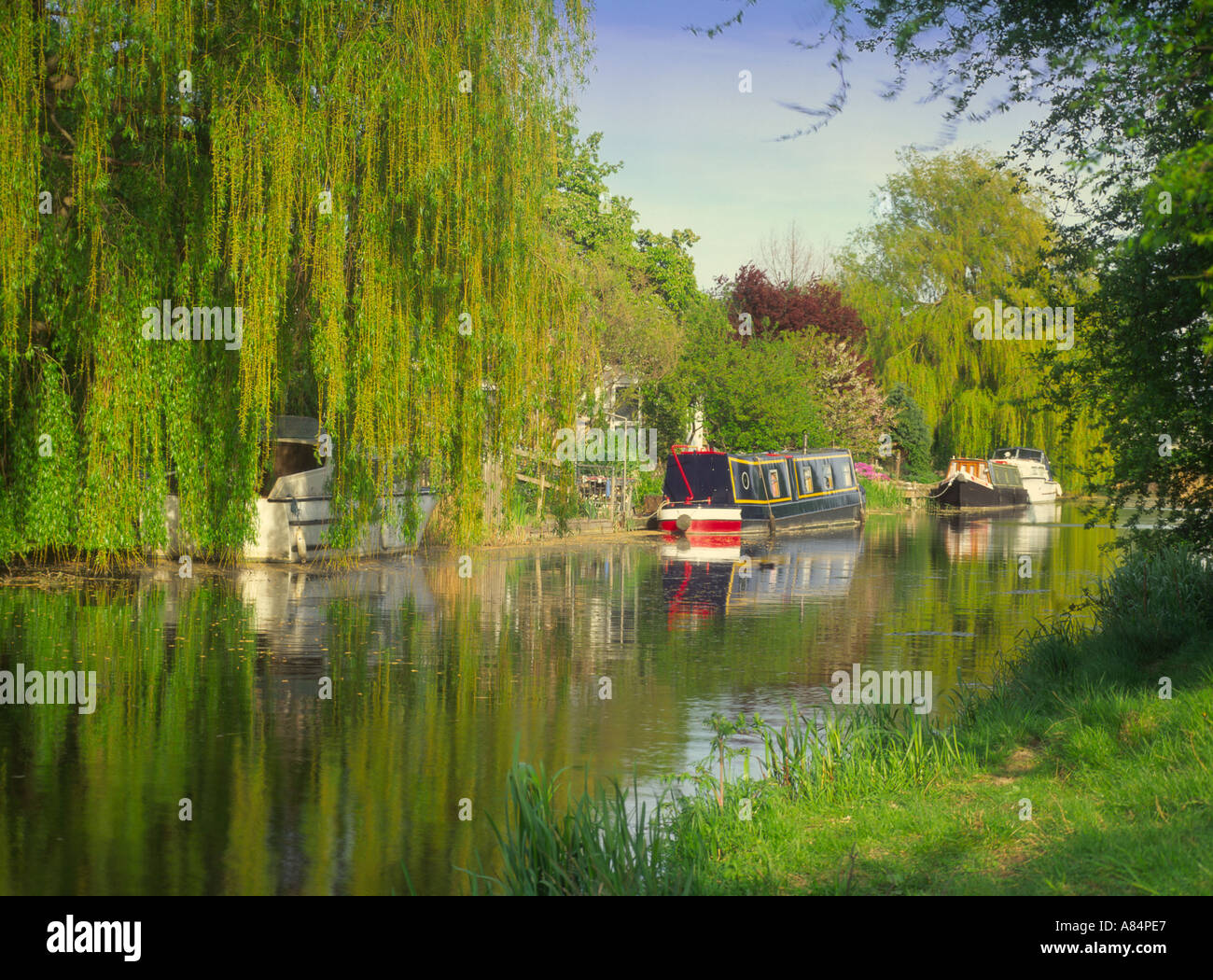 The River Nene at March in Cambridgeshire England UK Stock Photo Alamy