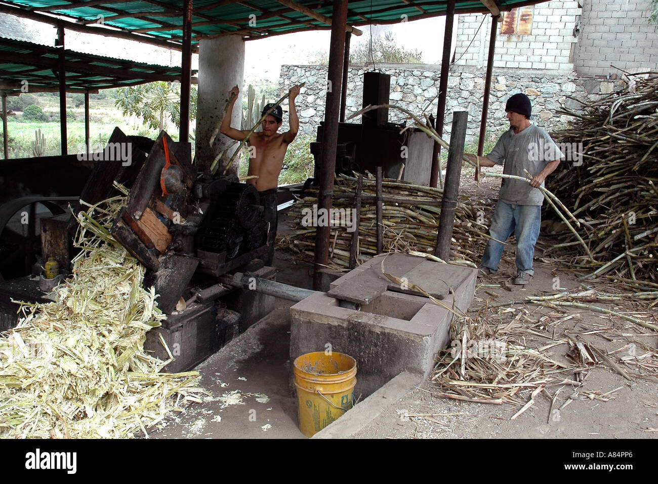 In a shack in Venezuela's Andes foothills workers make unrefined sugar bricks from the boiled juice of crushed cane Stock Photo