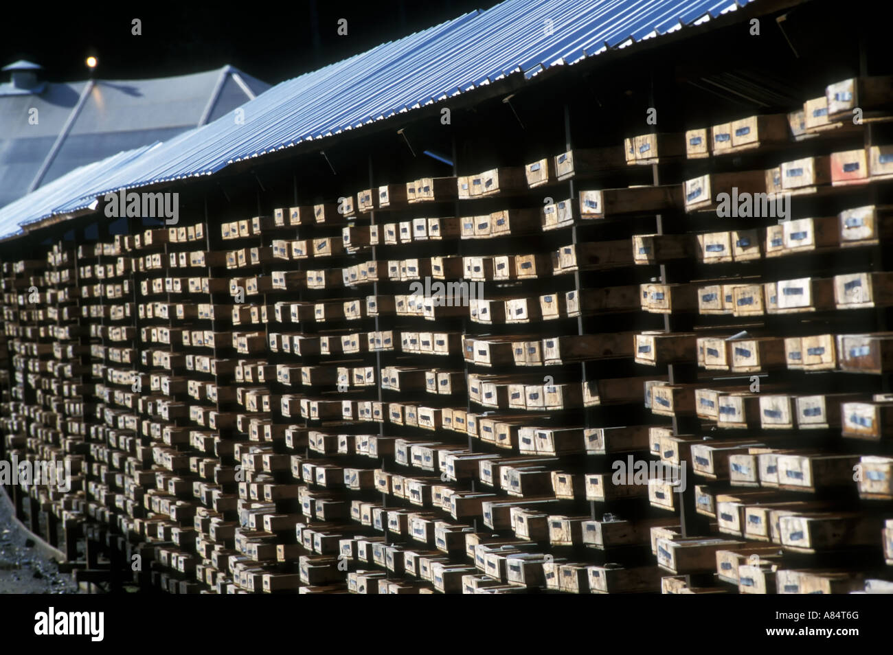 Core Samples Gold Mine BC Canada Stock Photo Alamy