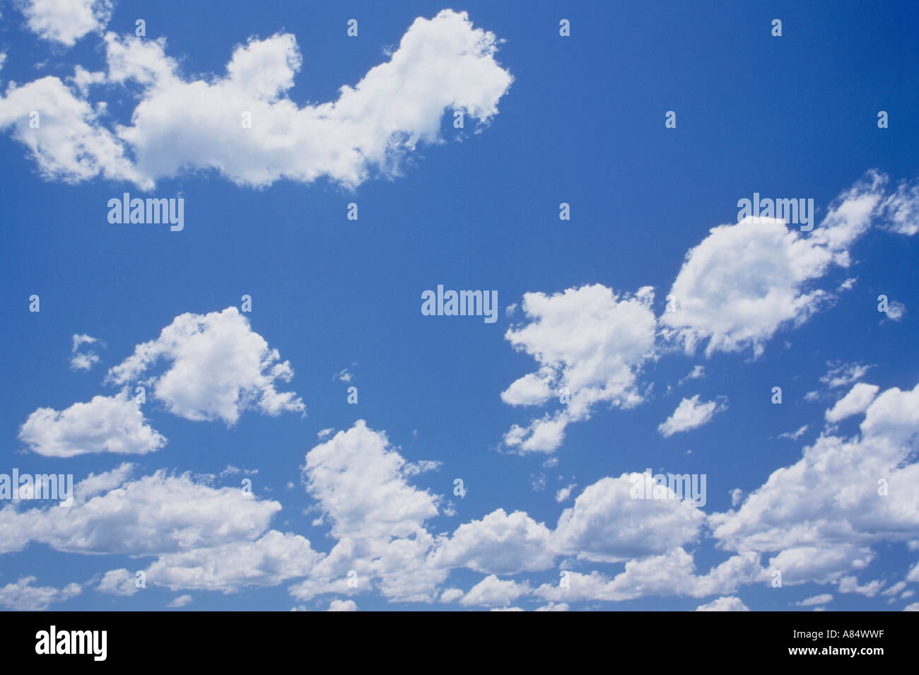 Blue sky with back lit, white clouds. Stock Photo