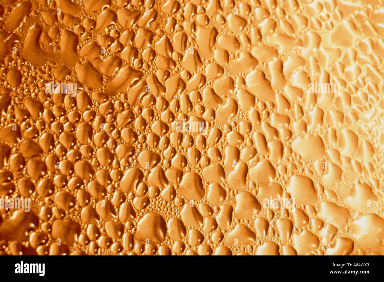 Still life. Water Droplets on glass window pane. Stock Photo