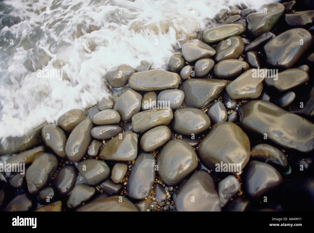 Wet beach pebbles hi-res stock photography and images - Alamy