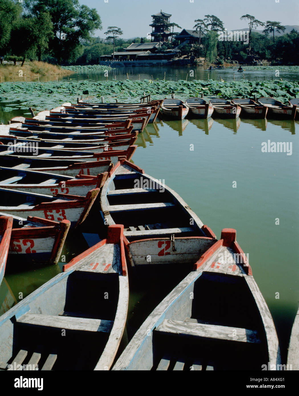 China. Hebei. South lake park scene with rowing boats for hire. Stock Photo