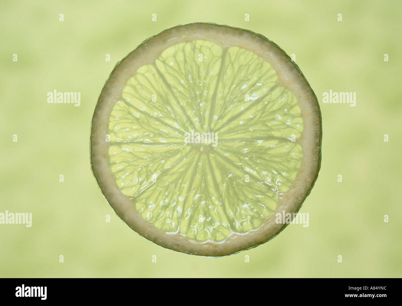 Still life. Food. Fruit. Slice of Lime Stock Photo