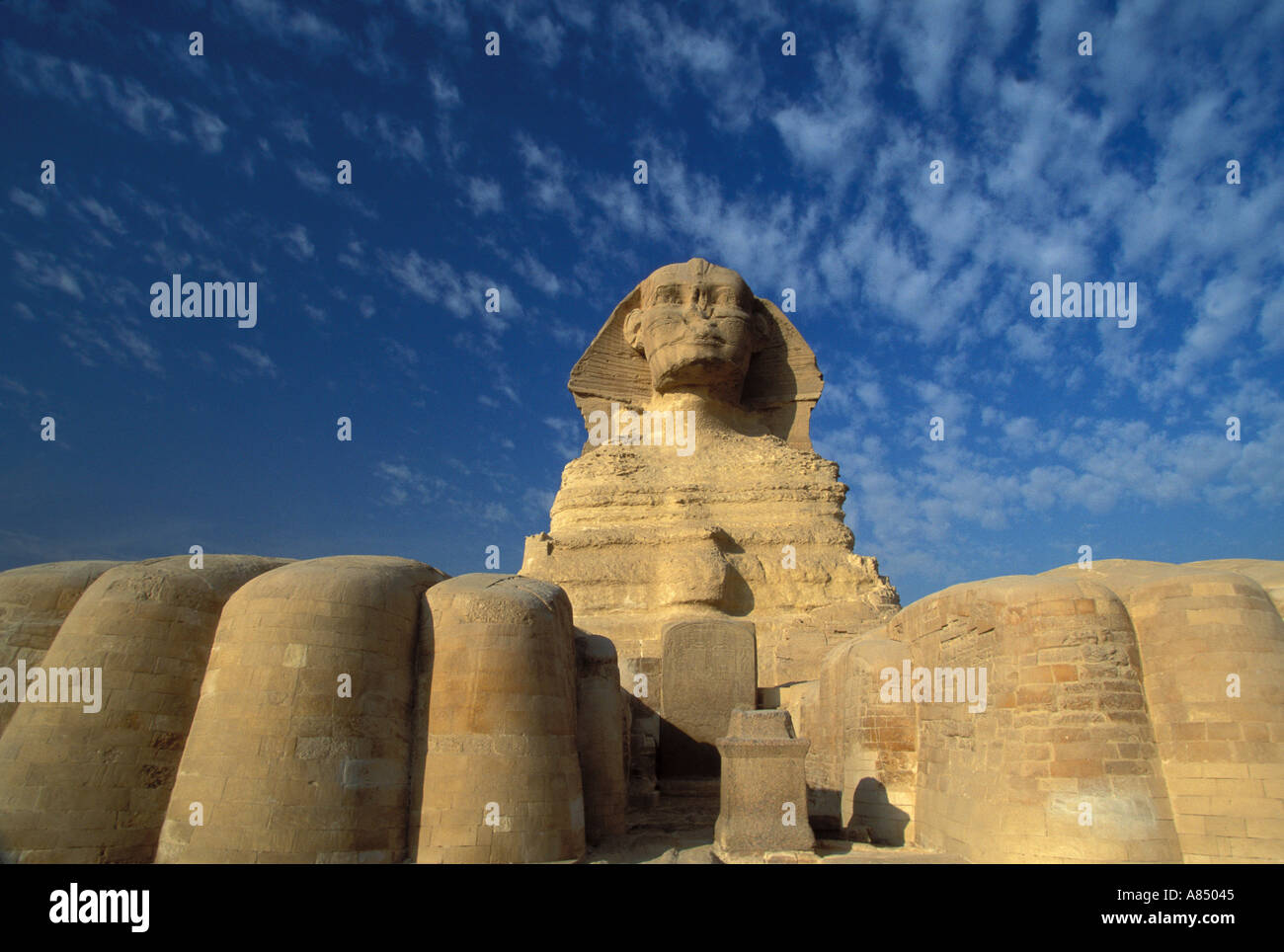 Sphinx Paws Stella Alter Pyramid Complex Giza Plateau EGYPT  Stock Photo