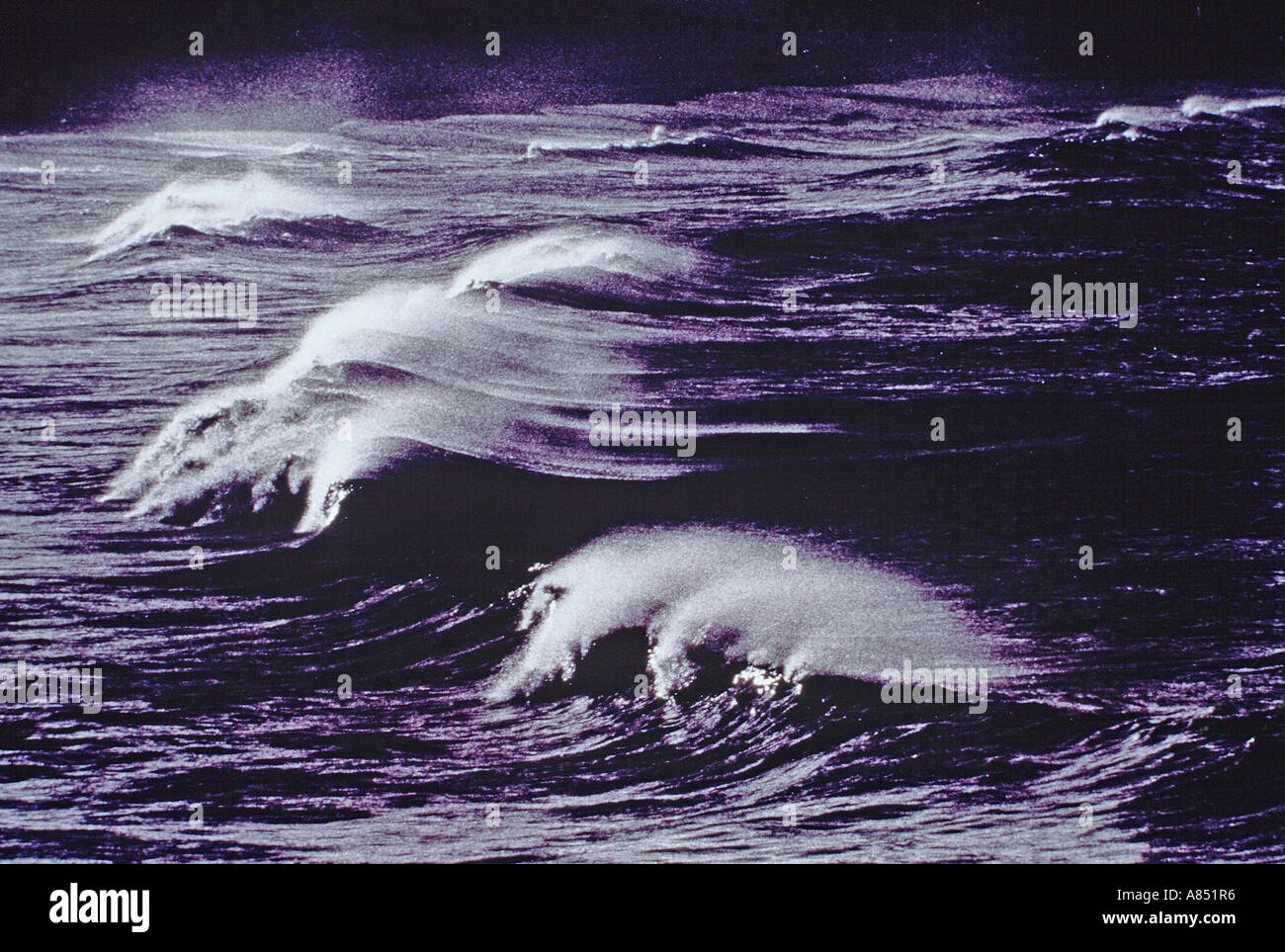 Australia. Stormy waves of Pacific Ocean. Stock Photo