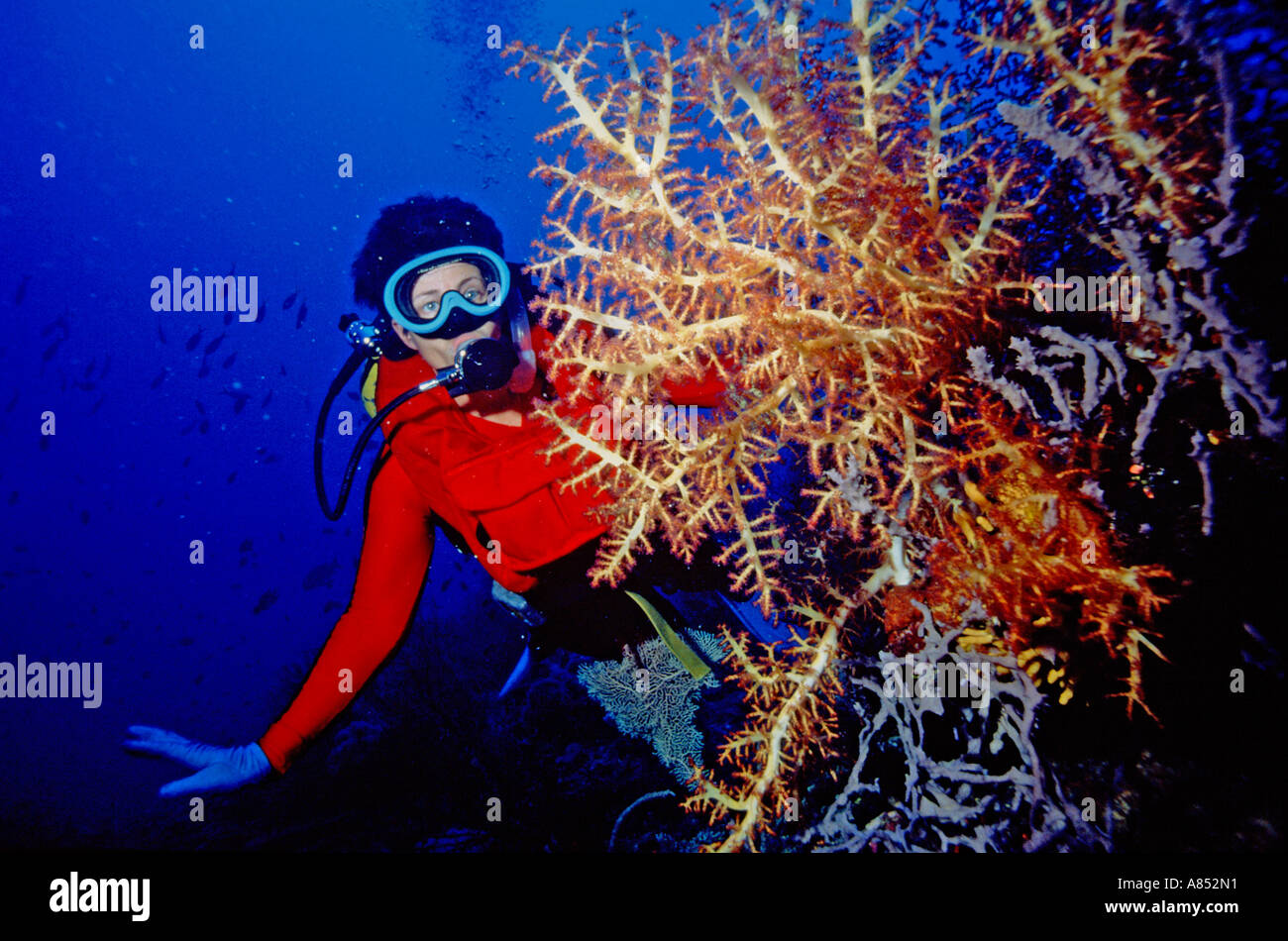 Scuba diving woman on coral reef. Papua New Guinea. Stock Photo