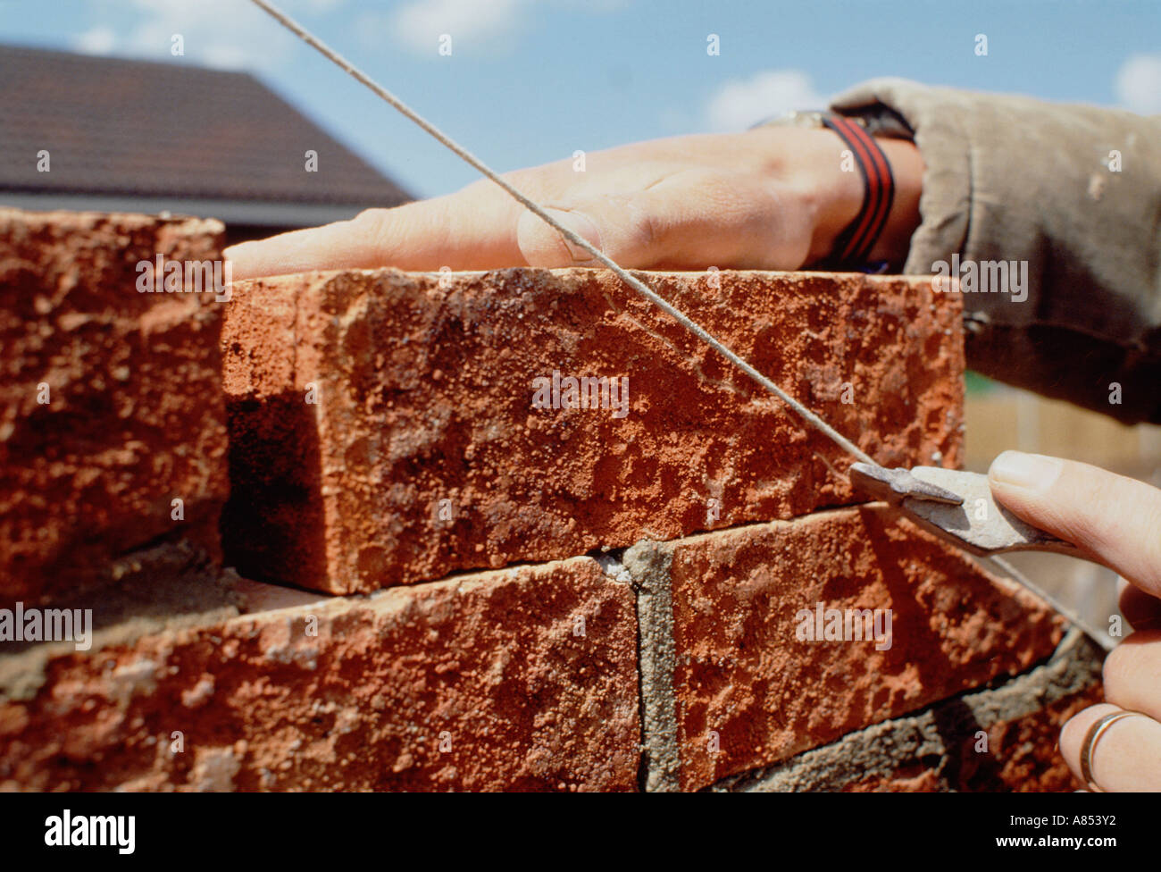 Closeup of bricklayer's hands laying brick wall Stock Photo Alamy