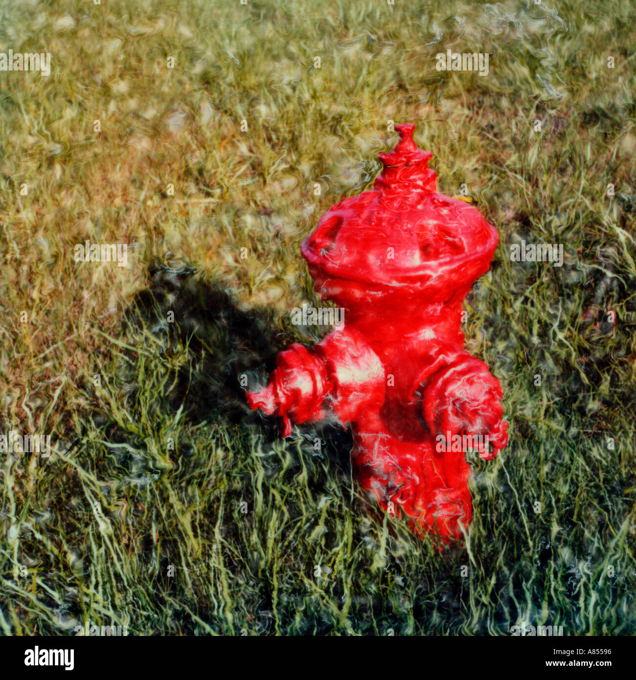 red fire hydrant in grass Stock Photo