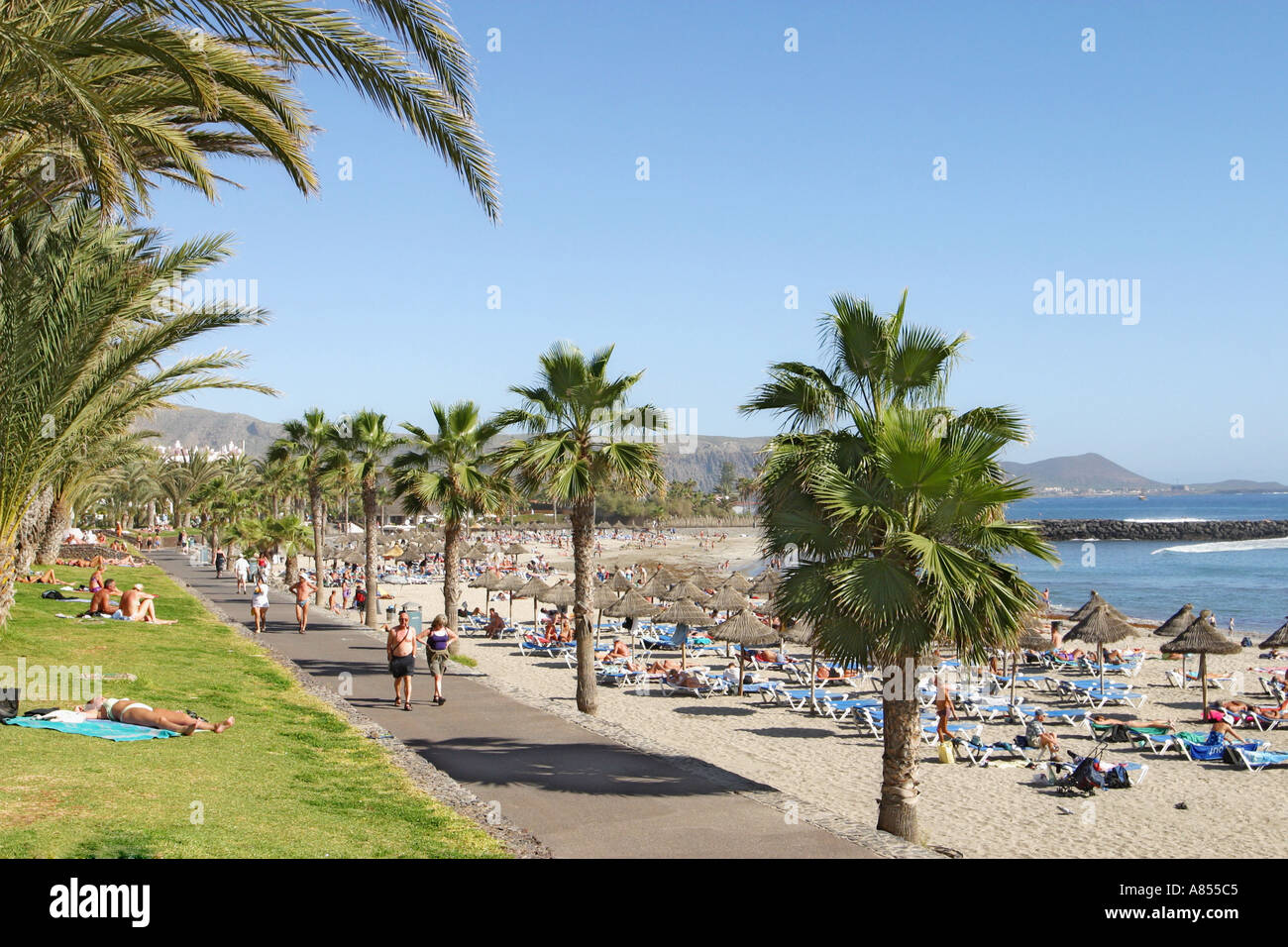 Playa del Camison aka Las Caletillas Playa de las Americas Tenerife Canary  Islands Spain Stock Photo - Alamy