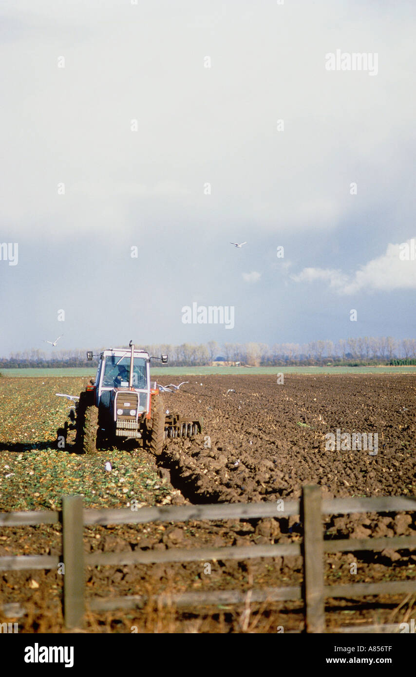 England. East Anglia. View over wooden fence of a tractor ploughing a field. Stock Photo