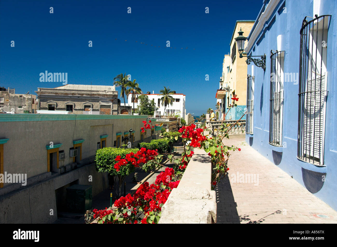 Colorful old restored waterfront buildings in Mazatlan Mexico Stock Photo