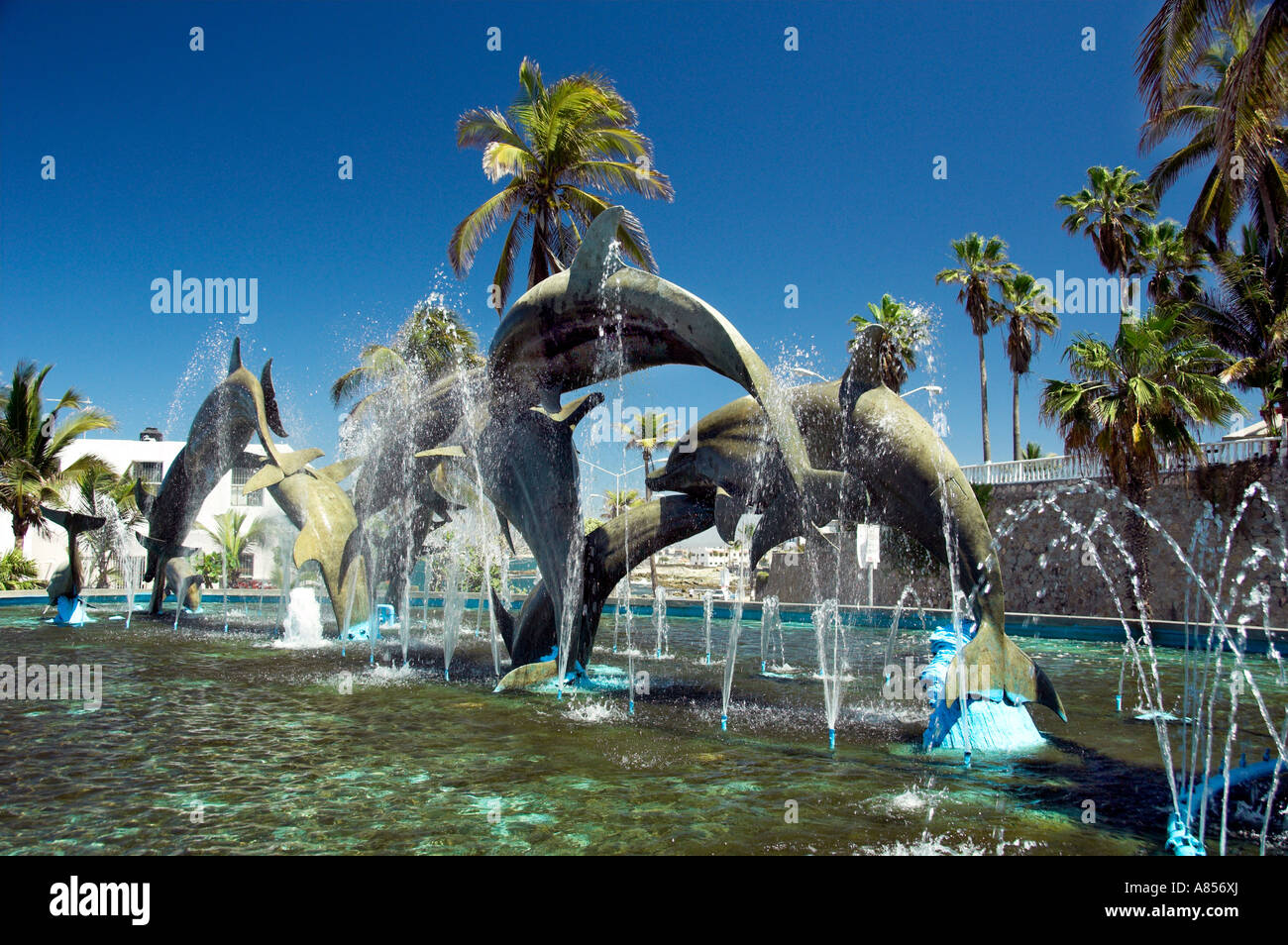 A dolphin sculpture exhibit in a small park along the malecon in Mazatlan Mexico Stock Photo