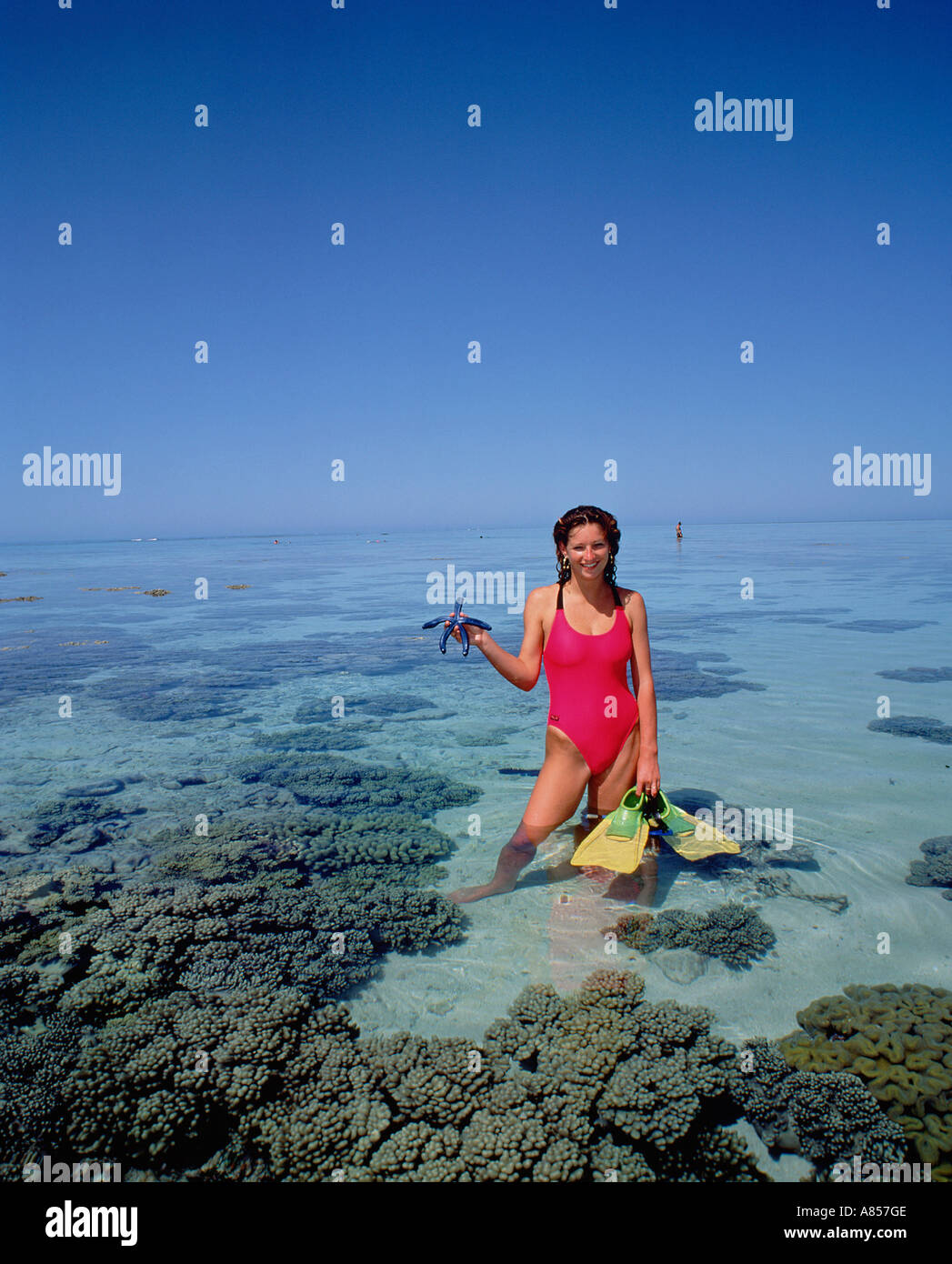 Australia. Queensland. Great Barrier Reef. Snorkeling. Young woman in swimsuit standing in shallow water, holding a starfish. Stock Photo