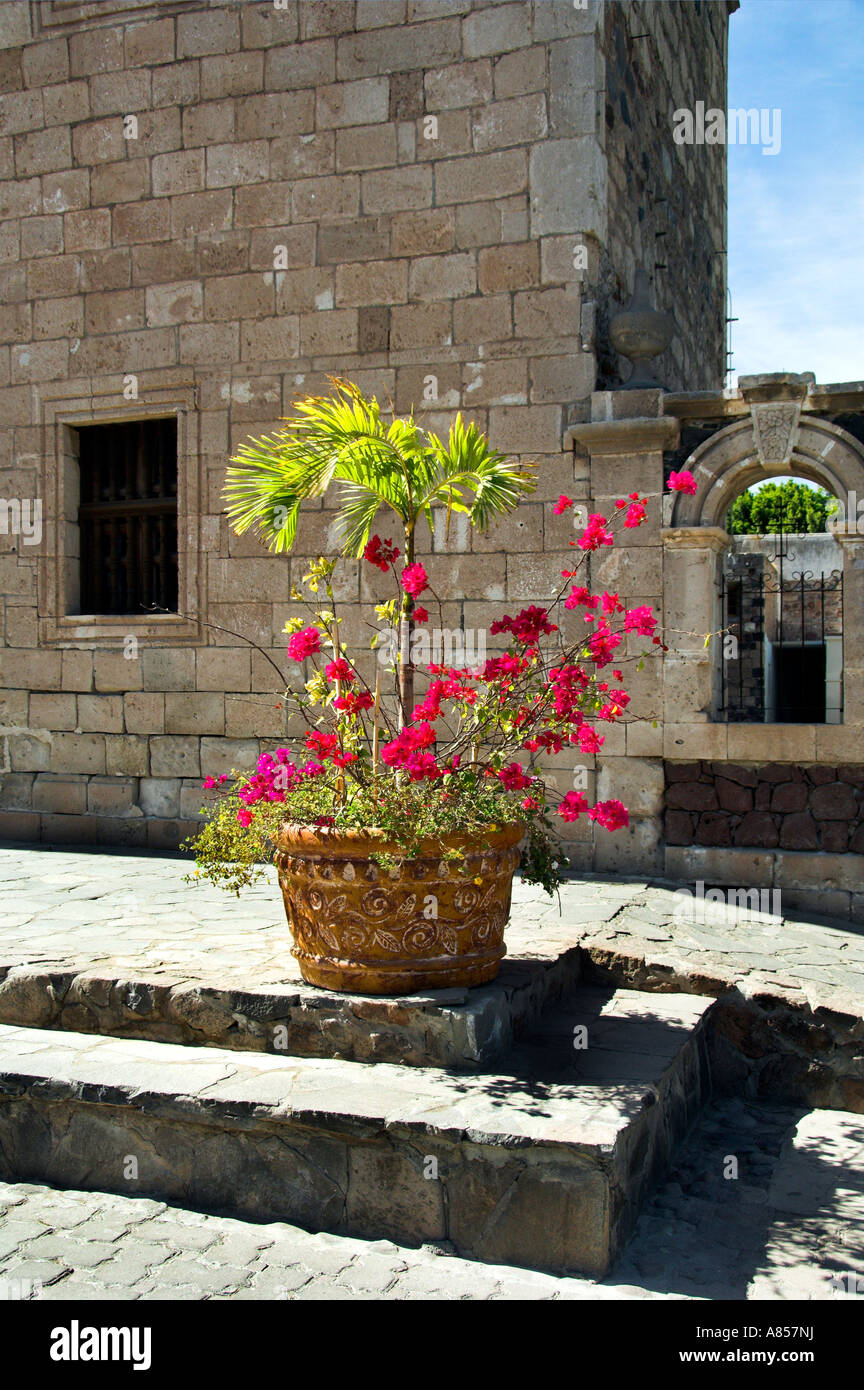 Street decor of a pot of flowers in the Baja California Sur port of Loreto Mexico Stock Photo