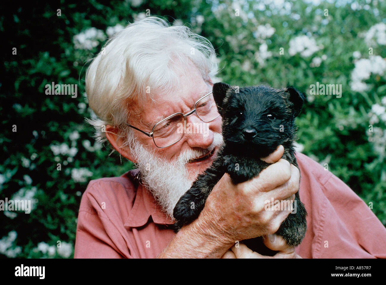 Old people holding dogs hi-res stock photography and images - Alamy