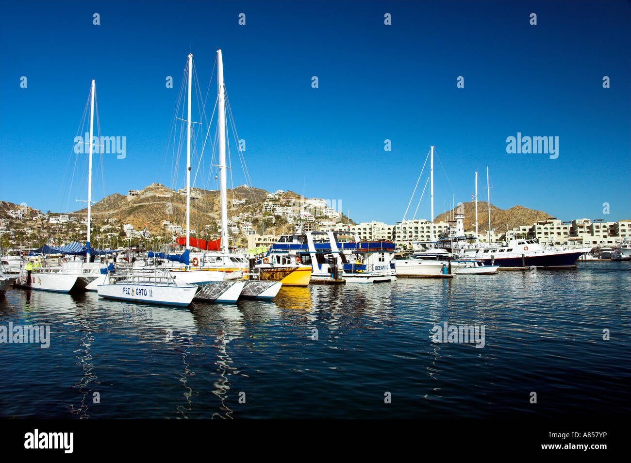 The marina with pleasure boats at the resort of Cabo San Lucas Mexico Stock Photo